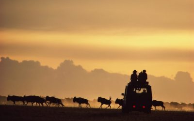 10 DAY TANZANIA AFFORDABLE HONEYMOON SAFARI