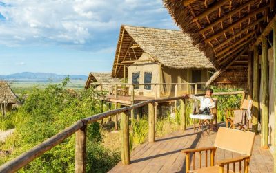 3 DAY SPECIAL TENTED CAMP SAFARI TO MIKUMI