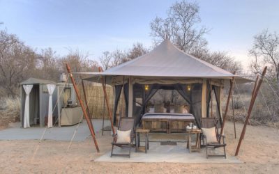 10 DAYS SERENGETI TENTED CAMPS SAFARI