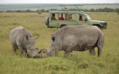 10 DAY SERENGETI BIG FIVE ADVENTURE SAFARI