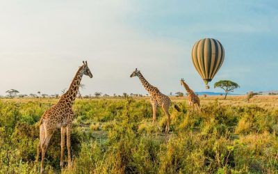 8 DAYS AFFORDABLE SERENGETI BALLOON SAFARI