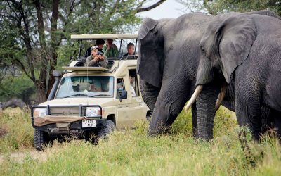 7 DAYS SERENGETI ADVENTURE PHOTOGRAPHY SAFARI