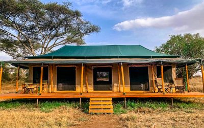 7 DAYS TANZANIA ADVENTURE TENTED CAMPS SAFARI