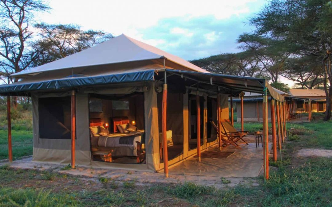 7 DAY TANZANIA BUDGET TENTED CAMPS SAFARI