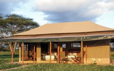 8 DAYS SERENGETI AFFORDABLE TENTED CAMPS SAFARI